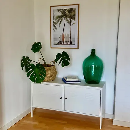 Little Palm *